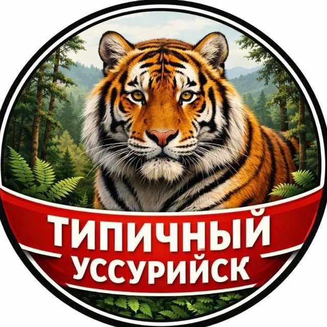 Telegram Channel logo typicalussur. Free Telegram Channel Analytics