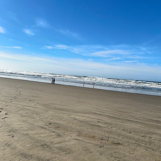 Telegram Channel logo . Free Telegram Channel Analytics