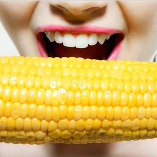 Логотип Телеграм канала kukury. Бесплатная аналитика Telegram каналов