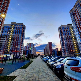 Логотип Телеграм канала . Бесплатная аналитика Telegram каналов