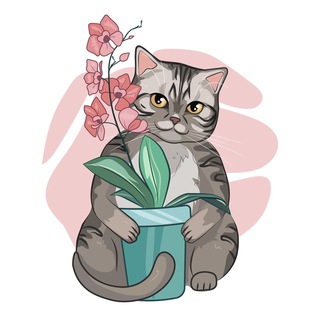 Логотип Телеграм канала . Бесплатная аналитика Telegram каналов