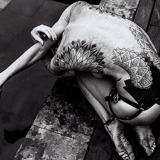 Логотип Телеграм канала Sasha Bodrova. Бесплатная аналитика Telegram каналов