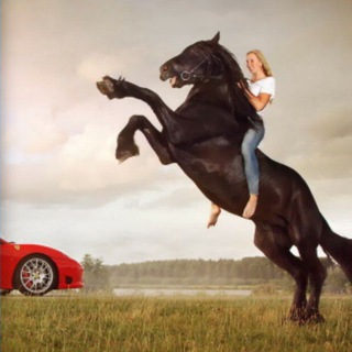 Telegram Channel logo POPUTIIK. Free Telegram Channel Analytics