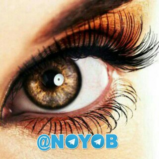 Telegram Channel logo noyob. Free Telegram Channel Analytics