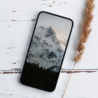 Telegram Channel logo blossom_400. Free Telegram Channel Analytics