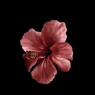 Логотип Телеграм канала kkiuytyytijj. Бесплатная аналитика Telegram каналов