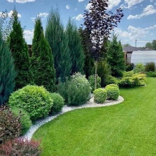 Логотип Телеграм канала landshaft_dizainn. Бесплатная аналитика Telegram каналов