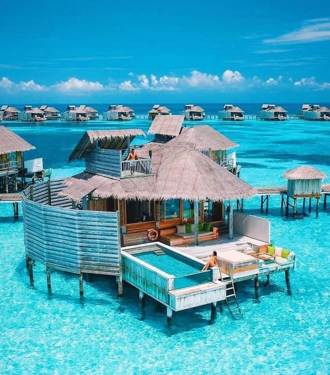 Telegram Channel logo lovelinessworlds. Free Telegram Channel Analytics