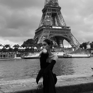 Логотип Телеграм канала . Бесплатная аналитика Telegram каналов