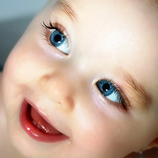 Логотип Телеграм канала malisch2025. Бесплатная аналитика Telegram каналов