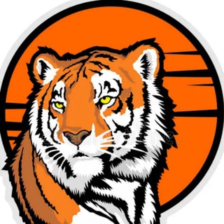 Логотип Телеграм канала vdk_tiger_vladivostok25. Бесплатная аналитика Telegram каналов