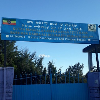 Telegram Channel logo abech55. Free Telegram Channel Analytics