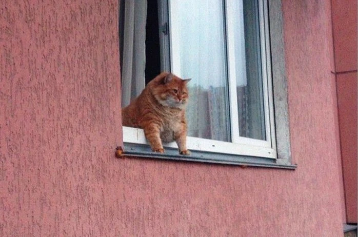 Логотип Телеграм канала tosemuse. Бесплатная аналитика Telegram каналов