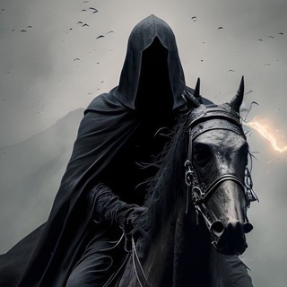 Telegram Channel logo Procarders. Free Telegram Channel Analytics