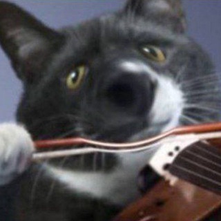 Telegram Channel logo +tpOCP_z0Zug4NWJi. Free Telegram Channel Analytics