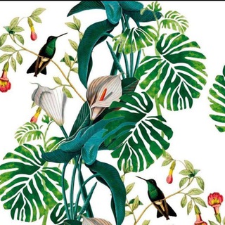 Telegram Channel logo flovers_world. Free Telegram Channel Analytics