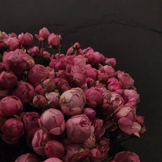 Логотип Телеграм канала Wallpaper phone | Top Trending ❤️. Бесплатная аналитика Telegram каналов