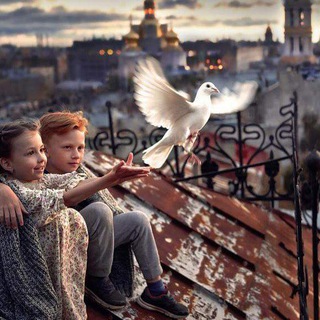 Логотип Телеграм канала أَطلِقْ جَناحِي 🕊. Бесплатная аналитика Telegram каналов