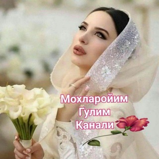 Логотип Телеграм канала . Бесплатная аналитика Telegram каналов