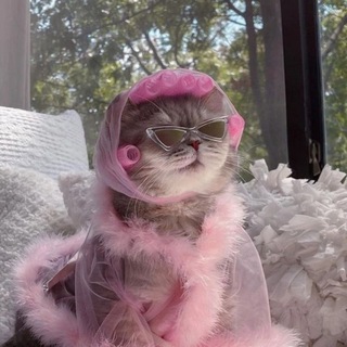 Логотип Телеграм канала mur_senya. Бесплатная аналитика Telegram каналов