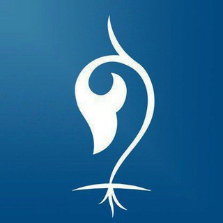 Логотип Телеграм канала ДОВОДЫ. Бесплатная аналитика Telegram каналов