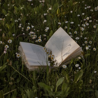 Логотип Телеграм канала waytohap. Бесплатная аналитика Telegram каналов