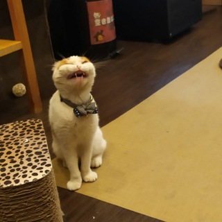 Логотип Телеграм канала Будни унылой понаехавшей. Бесплатная аналитика Telegram каналов