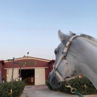 Telegram Channel logo . Free Telegram Channel Analytics