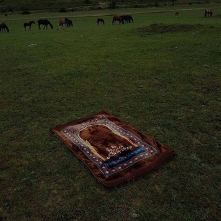 Логотип Телеграм канала . Бесплатная аналитика Telegram каналов