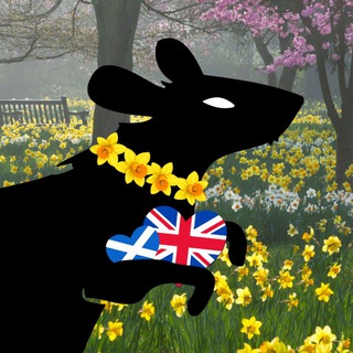 Логотип Телеграм канала . Бесплатная аналитика Telegram каналов