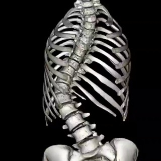 Логотип Телеграм канала . Бесплатная аналитика Telegram каналов