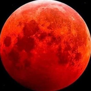 Telegram Channel logo +9d0-ycplIjo3NWMy. Free Telegram Channel Analytics