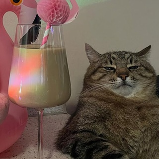 Логотип Телеграм канала Найдём Скидки 🎇. Бесплатная аналитика Telegram каналов