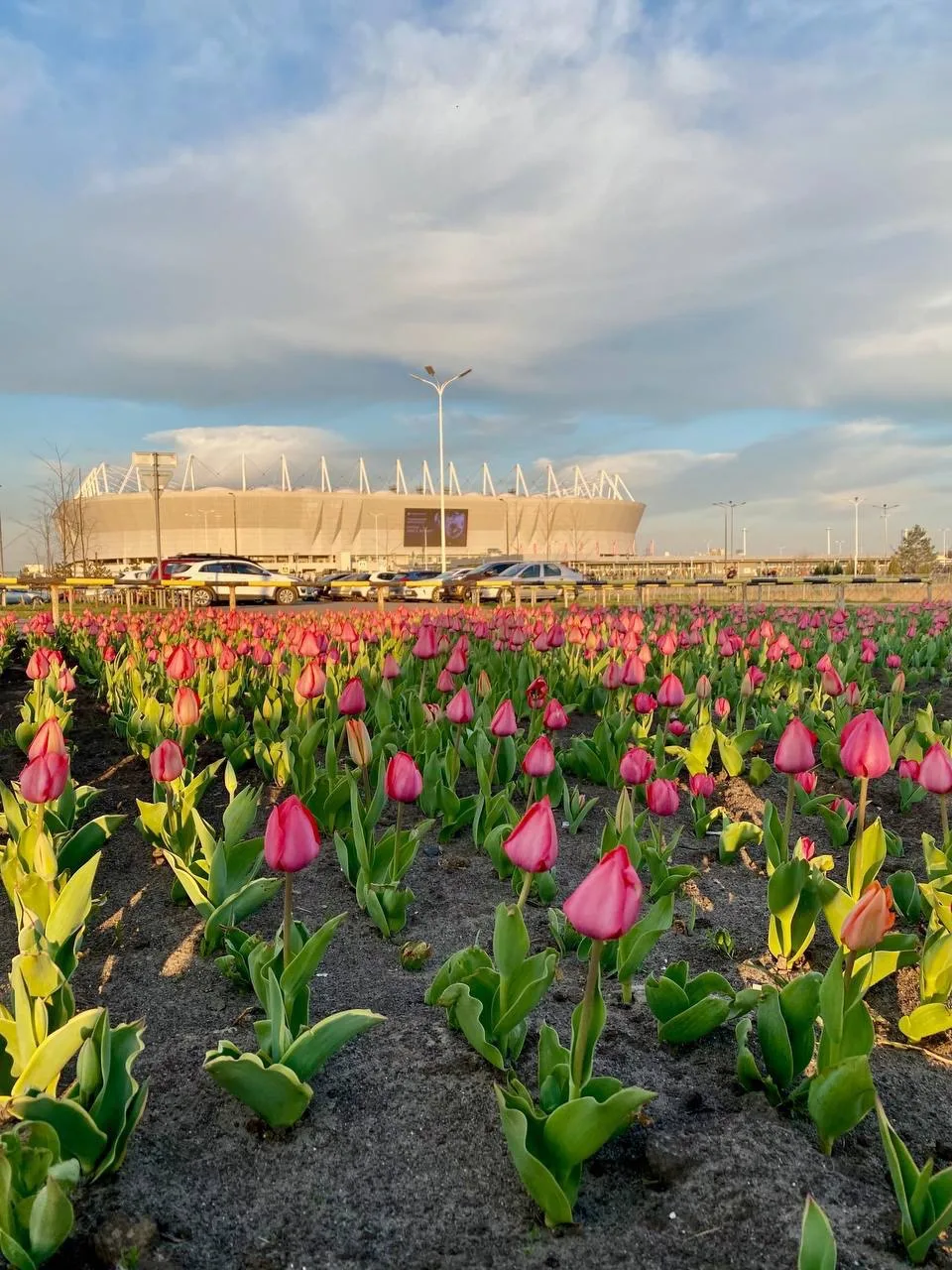 Логотип Телеграм канала ro1upo3rwgiaqe80wrz_b0zpdcxuf4vb9mknxqjbkzg. Бесплатная аналитика Telegram каналов