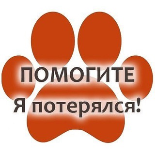 Логотип Телеграм канала poteryashkikoshki. Бесплатная аналитика Telegram каналов