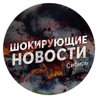 Telegram Channel logo proishestviaaltaychp. Free Telegram Channel Analytics