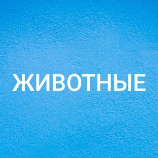 Логотип Телеграм канала ЖИВОТНЫЕ ХАРЬКОВ. Бесплатная аналитика Telegram каналов