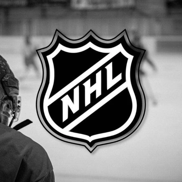 Логотип Телеграм канала only_nhl. Бесплатная аналитика Telegram каналов