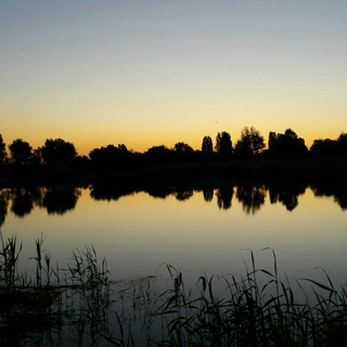 Логотип Телеграм канала . Бесплатная аналитика Telegram каналов