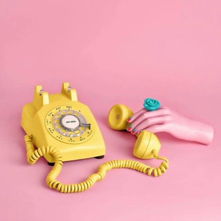 Telegram Channel logo fashioncontact. Free Telegram Channel Analytics