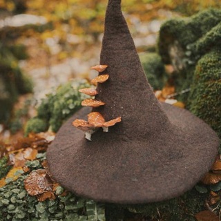 Логотип Телеграм канала . Бесплатная аналитика Telegram каналов