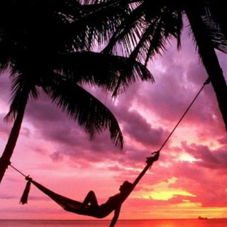 Логотип Телеграм канала . Бесплатная аналитика Telegram каналов