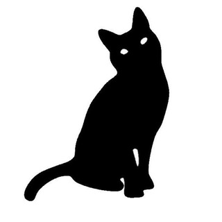 Логотип Телеграм канала catsbaychat. Бесплатная аналитика Telegram каналов