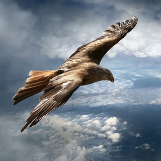 Telegram Channel logo Schamanisches Bewusstsein. Free Telegram Channel Analytics