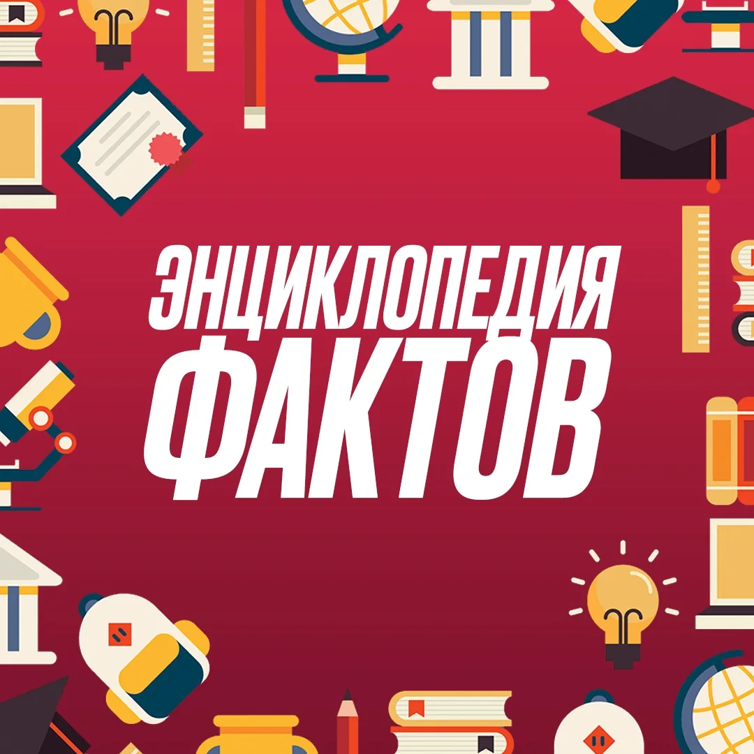 Telegram Channel logo factspedia. Free Telegram Channel Analytics