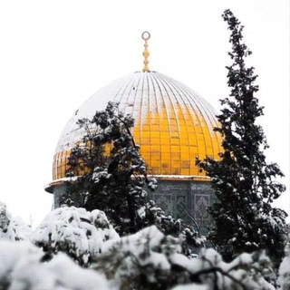 Логотип Телеграм канала Аллахlан цlерш. Бесплатная аналитика Telegram каналов