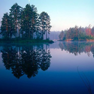 Логотип Телеграм канала It's okay to be highly sensitive. Бесплатная аналитика Telegram каналов