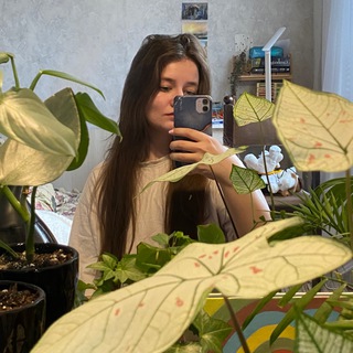 Логотип Телеграм канала . Бесплатная аналитика Telegram каналов