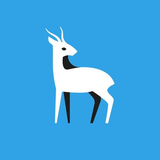 Telegram Channel logo samarachat. Free Telegram Channel Analytics