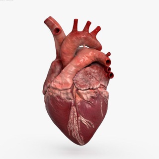 Логотип Телеграм канала pulse_medicine. Бесплатная аналитика Telegram каналов